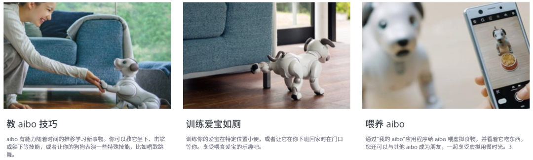 2400万预订,排队5年:不会走的机器狗,为何让老人痴迷?-图片11