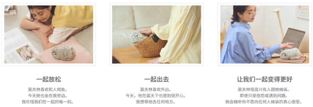2400万预订,排队5年:不会走的机器狗,为何让老人痴迷?-图片13
