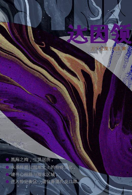 巡游折页-达因.jpg